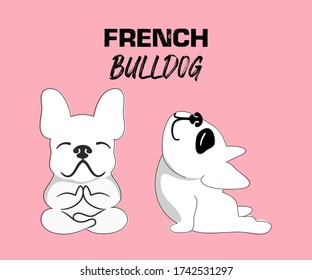 Two French bulldogs making yoga on pink pastel background. Hand drawn vector illustration art . 