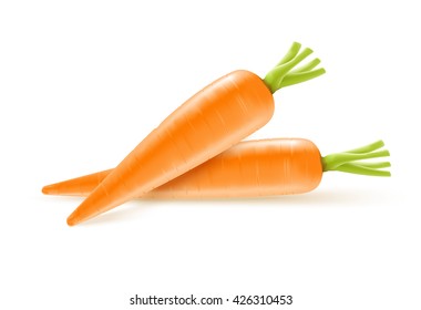Two fresh carrots
