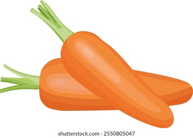 Two Fresh Carrots Vegetable Illustration Isolated on White Background