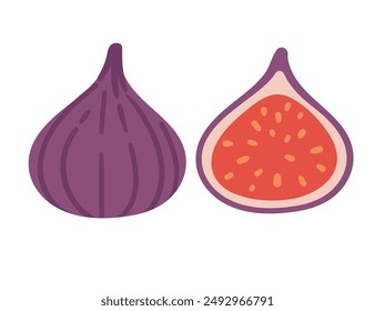 Two fresh figs, one whole and one halved ripe fruit in purple skin. Healthy vitamin tropical food piece. Organic exotic eating. Flat vector illustration isolated on white background