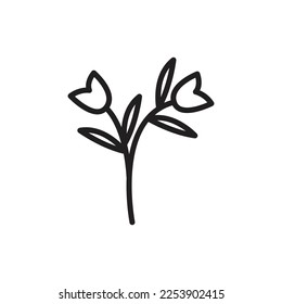 Two Fresh Flowers with leaf minimalist caracter