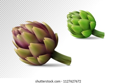 Two fresh globe artichoke on transparent background. Realistic vector eps10, 3d illustration