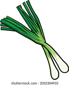 Two fresh leeks in cartoon style