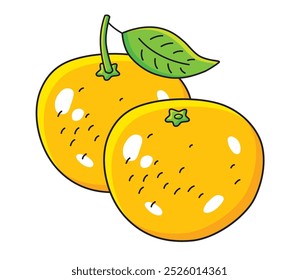 Two fresh orange fruits isolated vector illustration