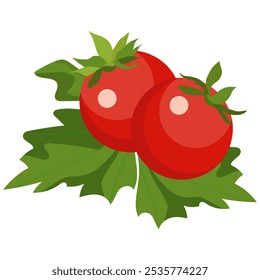 Two fresh red tomatoes with green leaves on a white background. Vegetable vector illustration. Healthy food.