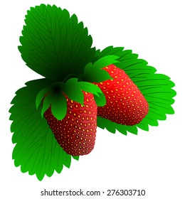 Two fresh strawberry. EPS 10 vector illustration with transparency.