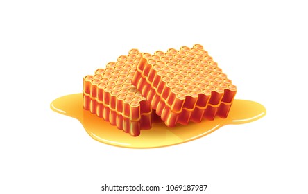 Two fresh sweet honeycombs. Apiary, dessert, ingredient. Beehive concept. Can be used for topics like food, farming, healthy eating