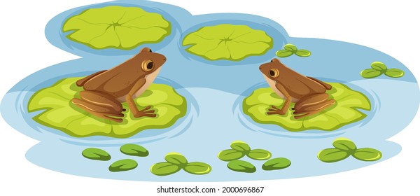 Two Frogs On Lotus Leaves In The Water Illustration