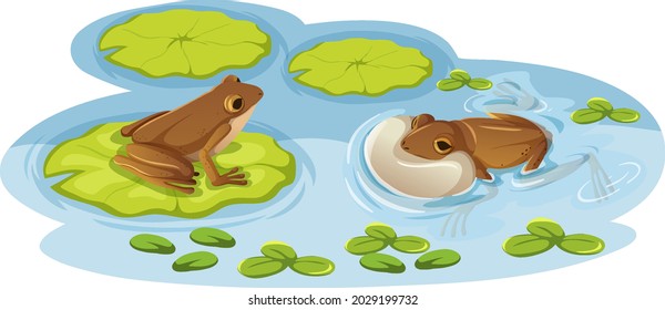 Two frogs on lotus leaves in the water illustration