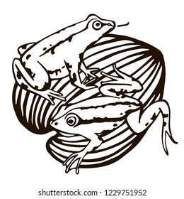 two frogs sitting оn leaflet
