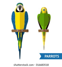 Two front view sitting parrots colorful flat decorative icons set isolated vector illustration