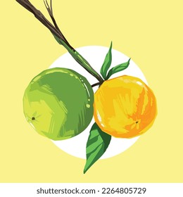 Two fruts. Ripe and unripe lime orange sour fruit on tree branch with leaves vector illustration isolated on square template. Cartoon natural food drawing with simple flat art style.