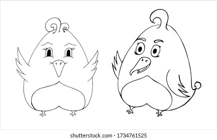 Two funny birds in doodle style. Vector hand drawn outline illustration. 
