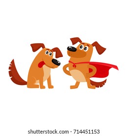 Two funny brown dog characters, one standing in superhero cape, another sitting and looking in admiration, cartoon vector illustration isolated on white background. Two funny house dog characters