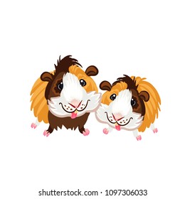 Two funny cartoon funny Guinea pigs clipart illustration vector