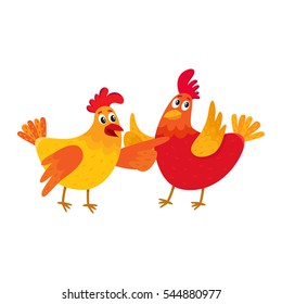Two funny cartoon orange chickens, hens pointing to something and raising wings, cartoon vector illustration isolated on white background. Couple of colorful chickens looking up and pointing to