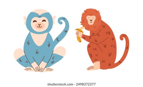 Two funny colorful cute monkeys. Golden lion tamarin with banana. Baby hand draw vector wild animals. 