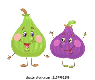 Zwei lustige Feigen sind lila und grün. Helden im Cartoon-Stil. Einzeln auf weißem Hintergrund. Vektorflache Illustration.