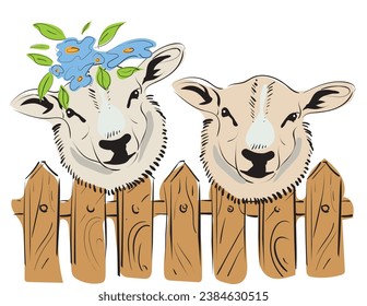 Zwei Fell-Schafe verschiedener Farben hinter einem Zaun mit Blumen auf dem Kopf. Landwirtschaftliche, umweltfreundliche Wolltiere für die Landwirtschaft. Vektorbild.