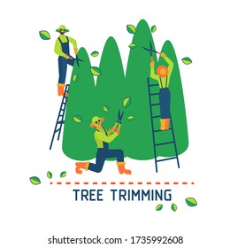 Two Gardeners Standing On A Stepladder And Trimming Tall Trees. A Third Gardener Pruning The Trees Below. Tree Service Icon. Flat Vector Illustration. Garden Care Concept For Design Of Banners, Flyer.