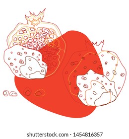 Two garnets and seeds in line. Beautiful simple sketch with spots. Isolated red garnet fruits on a white background. Set of isolated stylized fruits of garnet good for prints and decorations