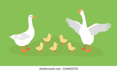 Two geese and five little goslings