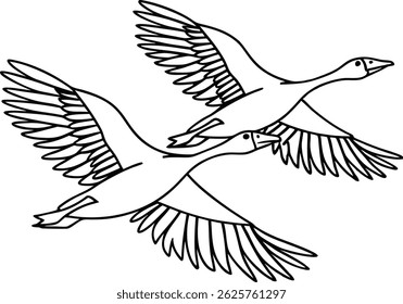 Zwei Gänse fliegen in Formation schwarz-weiße Umrissvektorgrafik