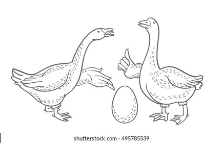 Two geese, goose egg outline drawing, cartoon funny goose isolated on white background, goose domestic nature character, poultry, farm animal vector. 