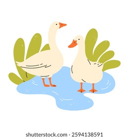 Two geese in pond. Domestic animals outdoors. Poultry farming concept. Harmony with nature vibe. Cottagecore and rustic farm countryside aesthetic. Isolated vector illustration