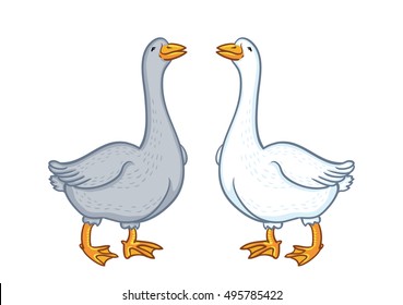 Two geese white and gray, cartoon funny goose isolated on white background, goose domestic nature character, poultry, farm animal vector.