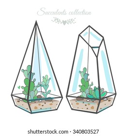two geometric glass terrariums with succulents, vector illustration