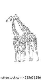 Two Giraffe line drawing in white background.