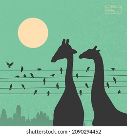 Two giraffes. Birds on wires in city zoo. Animal silhouettes. Wildlife