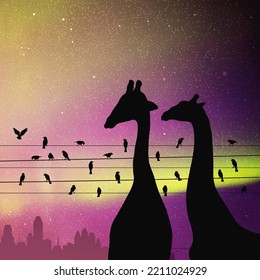 Two giraffes. Birds on wires in city. Animal silhouettes. Polar lights