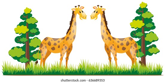 Two giraffes standing in the park illustration