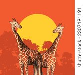 Two giraffes at sunset. Vector illustration. Stunning, elegant illustrated animals