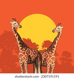 Two giraffes at sunset. Vector illustration. Stunning, elegant illustrated animals