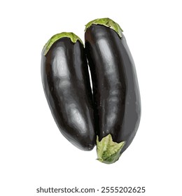 Two glossy eggplants with green tops, showcasing their vibrant color and smooth texture.