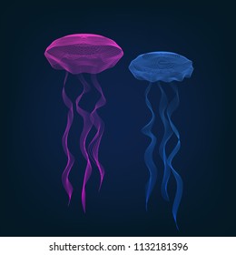 Two glowing jellyfish deep under water