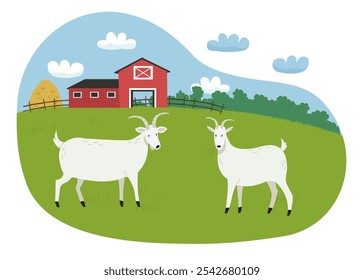 Dos cabras pastan en un prado. Granja roja en el fondo. Animales de granja. Ilustración plana de Vector.