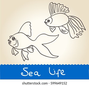 Two golden fish