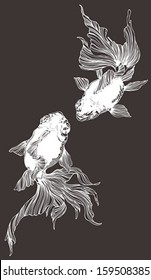 Two golden fish in black and white