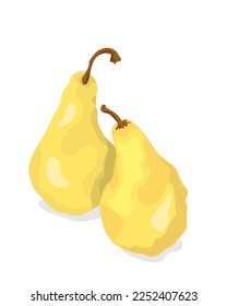 Dos peras doradas sobre la ilustración vectorial blanca