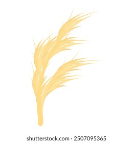 Two golden wheat stalks growing in the wind, isolated on a white background