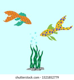 Two goldfish with algae the effect of an application