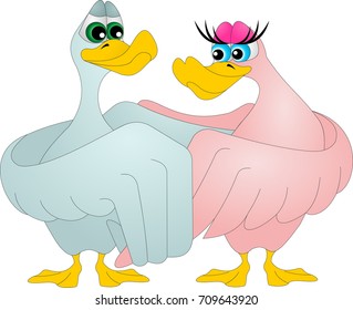 two goose