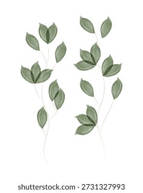 Two graceful watercolor branches with delicate green leaves appear on a plain white background. The leaves have a soft, translucent quality, suggesting gentle brushstrokes.