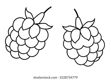 Ilustração vetorial do ícone do logotipo da arte da linha de duas uvas.