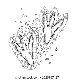 Two graphic dinosaur footprints on the ground. Vector prehistoric illustration drawn in engraving technique. Coloring book page design