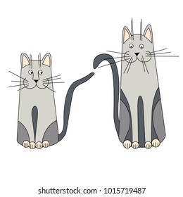 two gray cat looking in different directions on a white background
